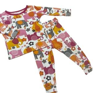 Carters Pajamas 2 Piece Matching Set Baby Girl 12 Months